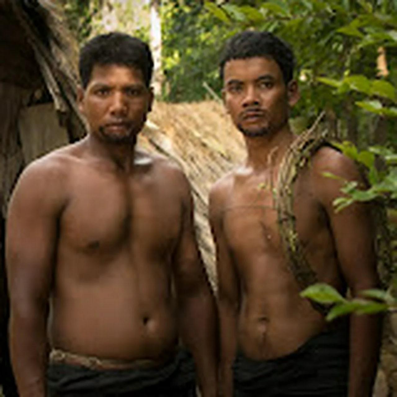 остров борнео тропические леса. жизнь в джунглях малайзия. Penang national park. фильм про спасение девушки в джунглях. жизнь в джунглях малайзия.