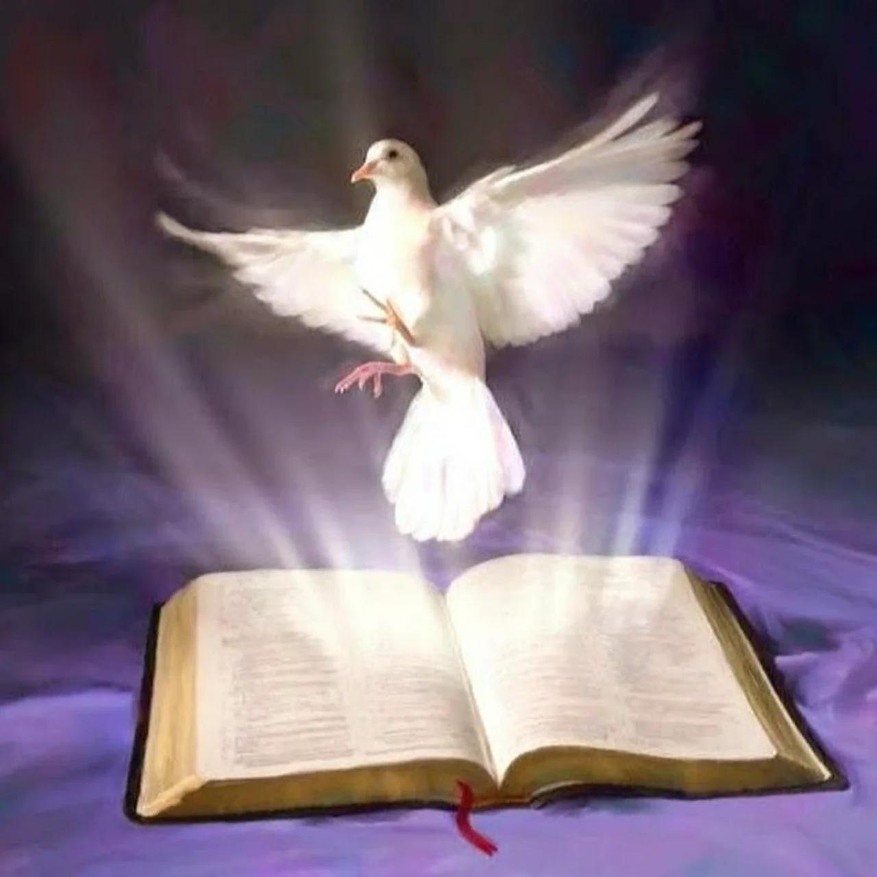 Духи мудрости. Фразы о парфюмерии. Духи мудрости. Духи мудрости. Девочка в сказочном мире.