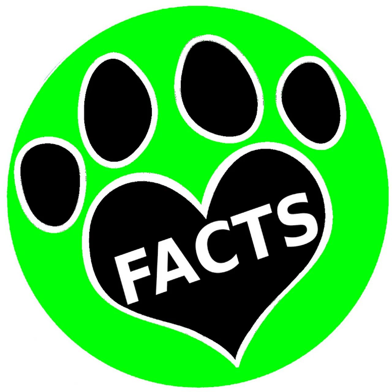 animal-facts