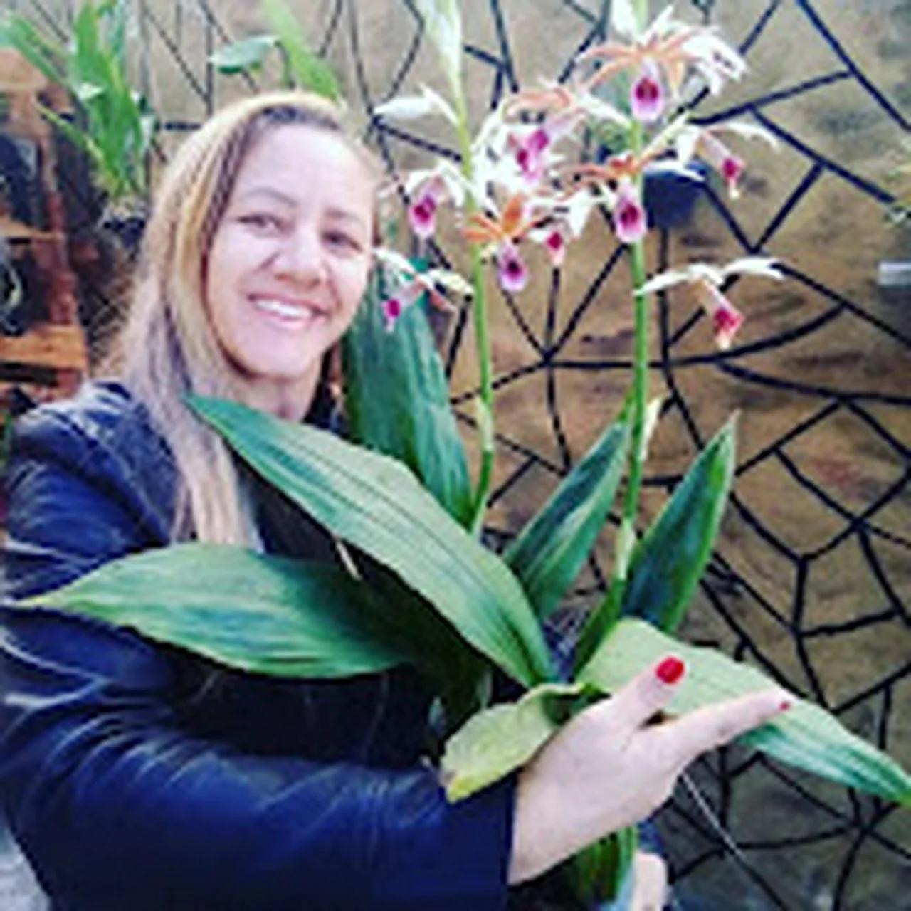 CIDA ANTUNES ORQUIDEAS E ROÇA