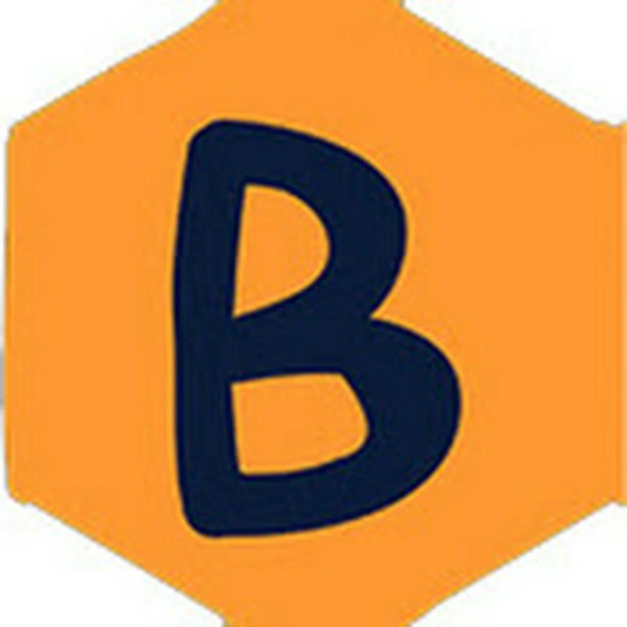 Bonguides