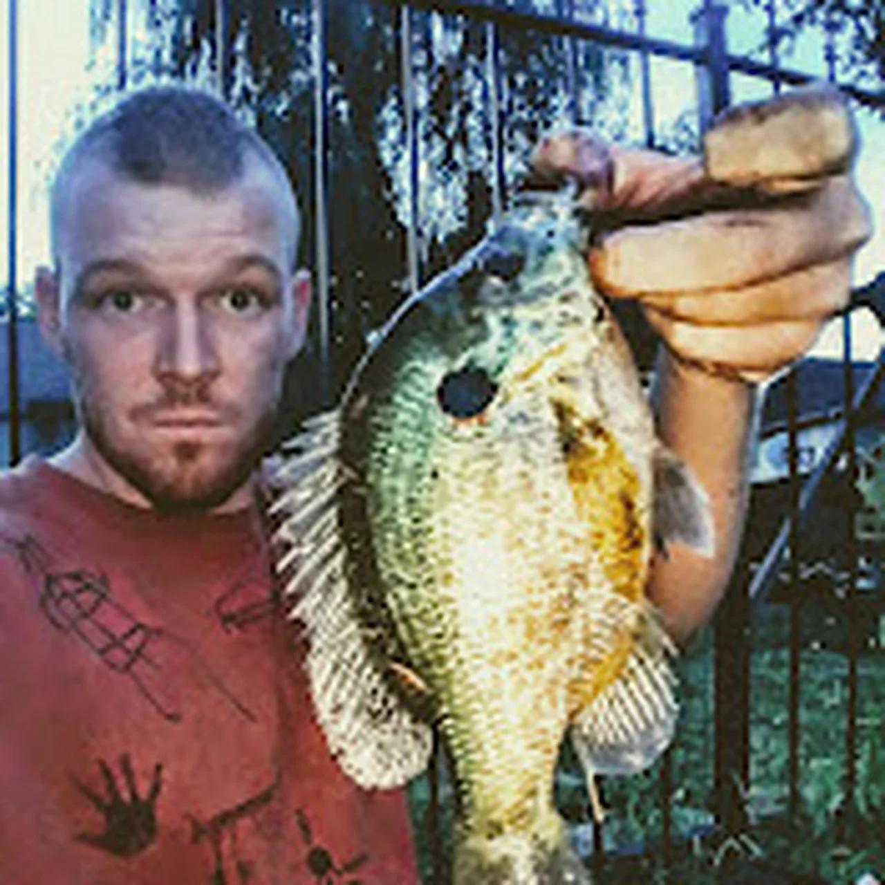 Laser Sailboat Vs Sunfish