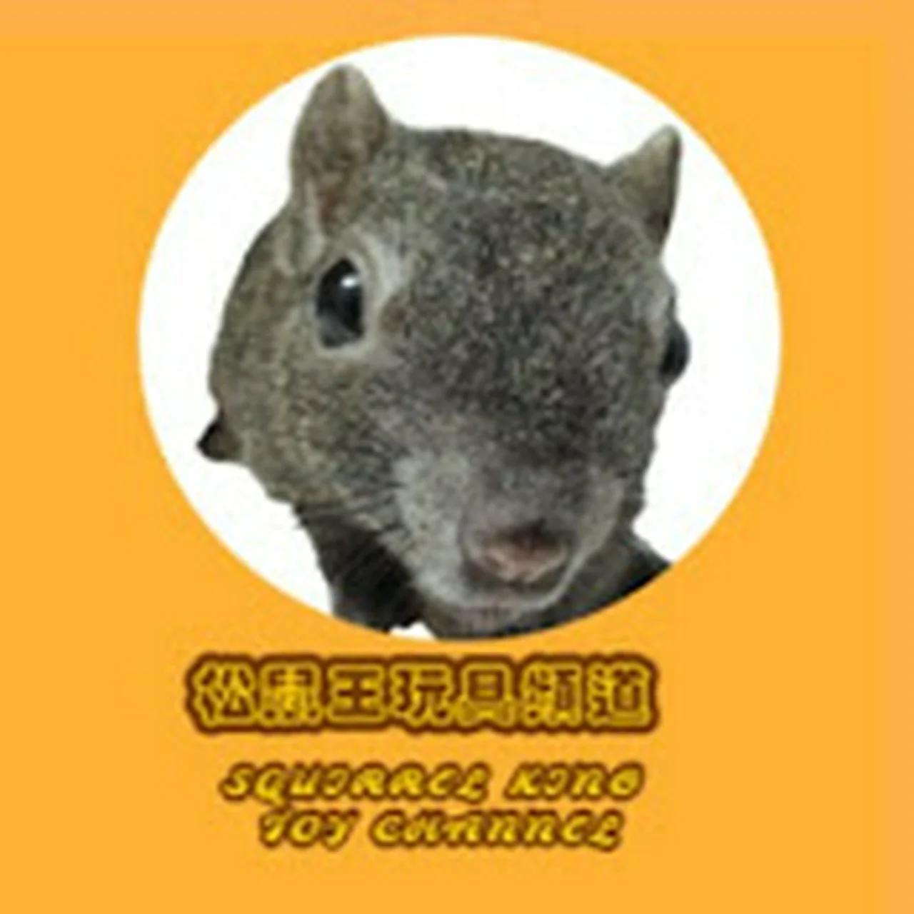 松鼠王玩具頻道 Squirrel King Toy Channel