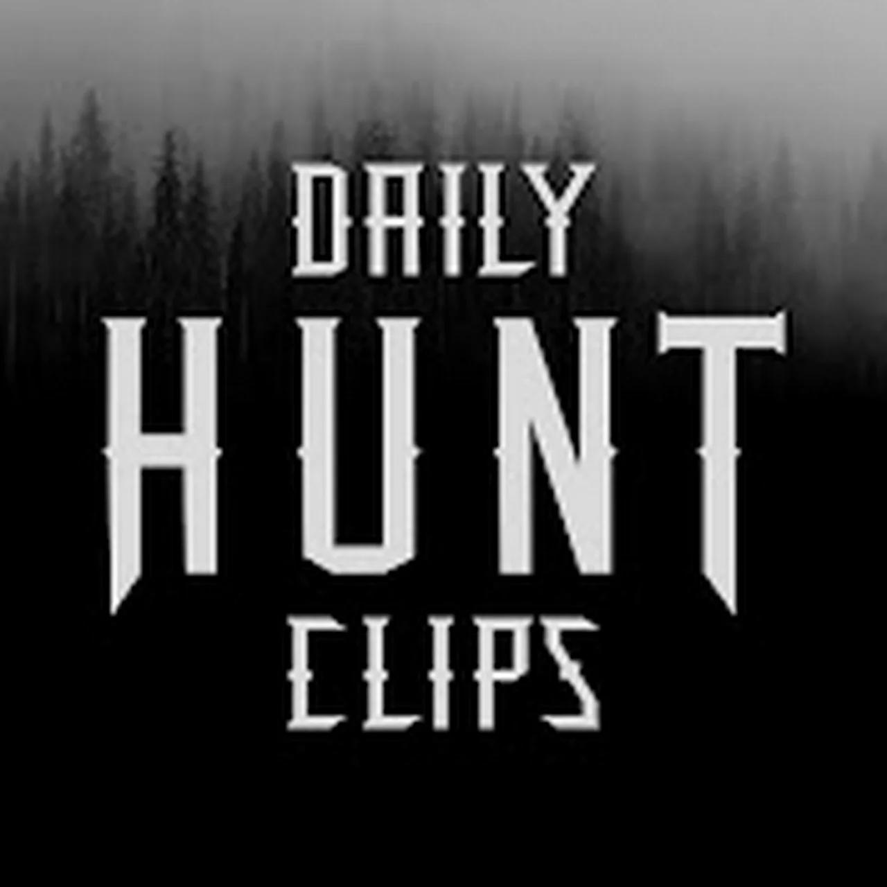 Daily hunt clips