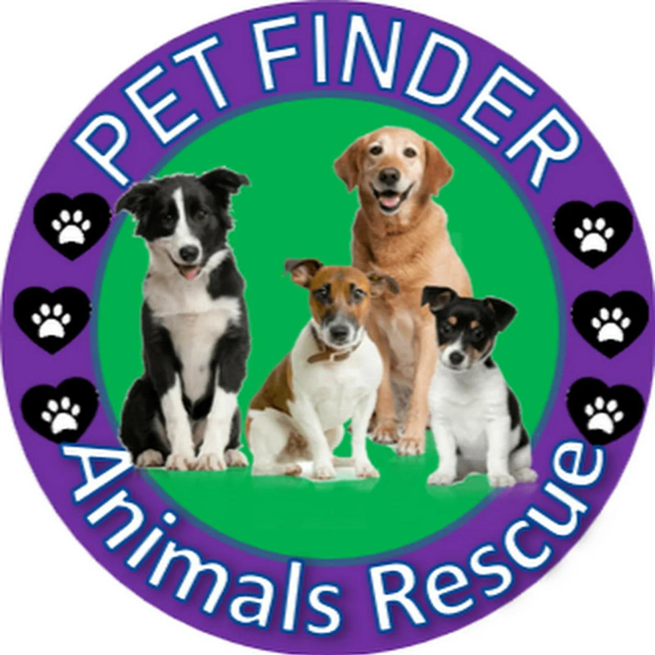 PetFinder TV