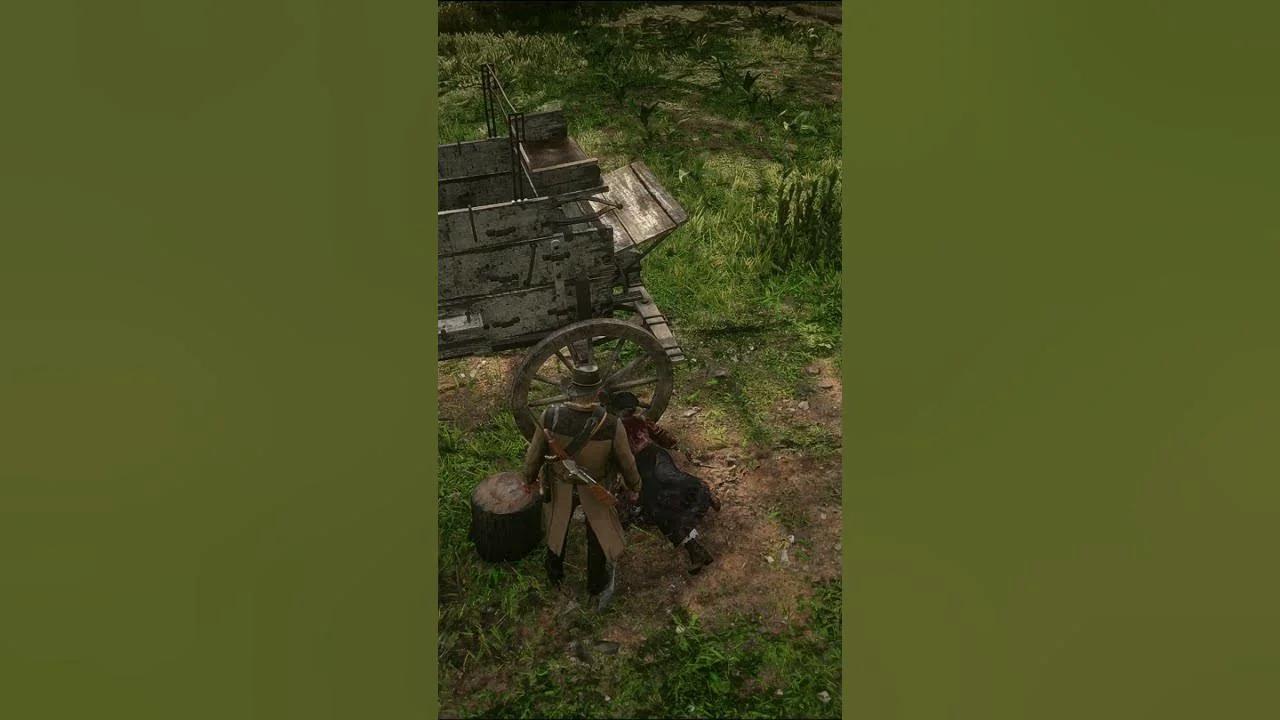 RDR2 - EL MISTERIO DE ROBARD FARM #rdr2modohistoria #rdr2 #rdr2gameplay