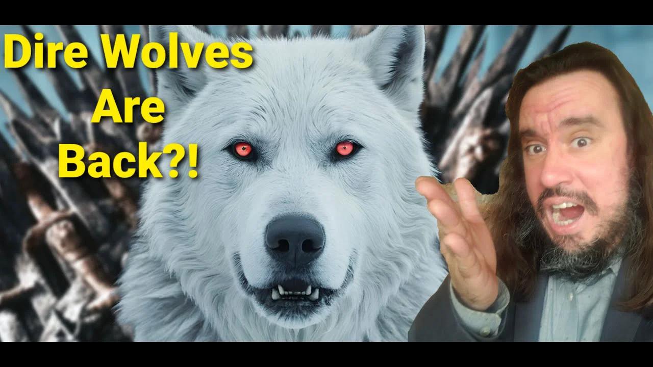 Dire Wolves Brought Back, What Happens Now