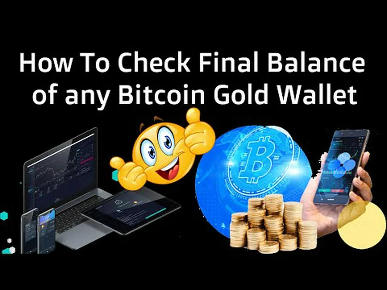 How To Check Final Balance of any Bitcoin Gold Wallet | Crypto Wallets Info