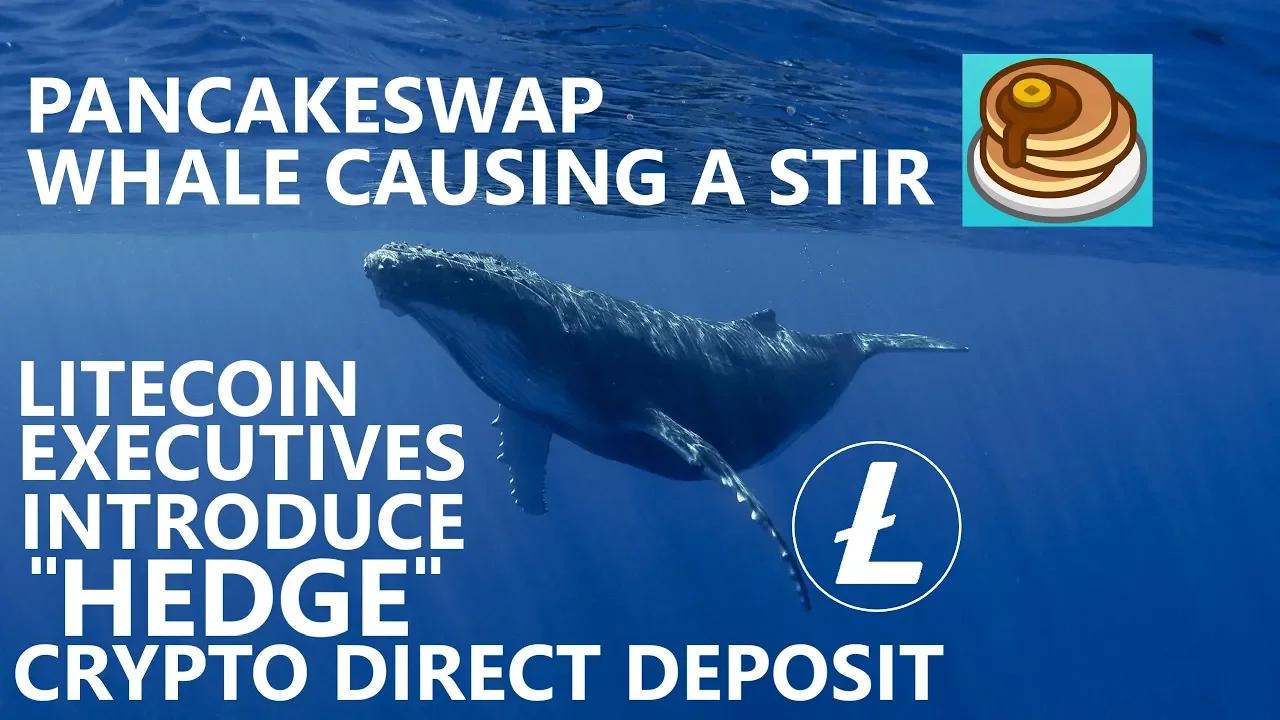 PancakeSwap Whale Manipulation; LITECOIN Executives Getting You Paid in
