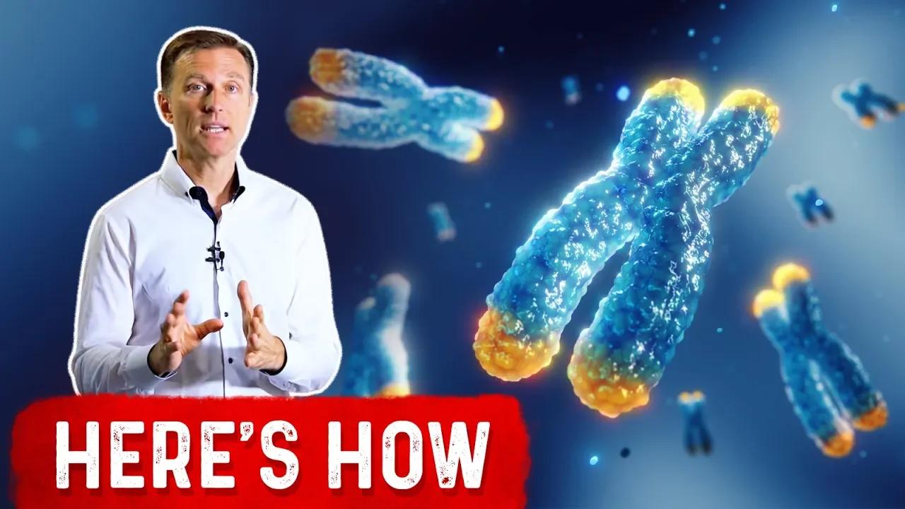 What Things Increase Telomere Length