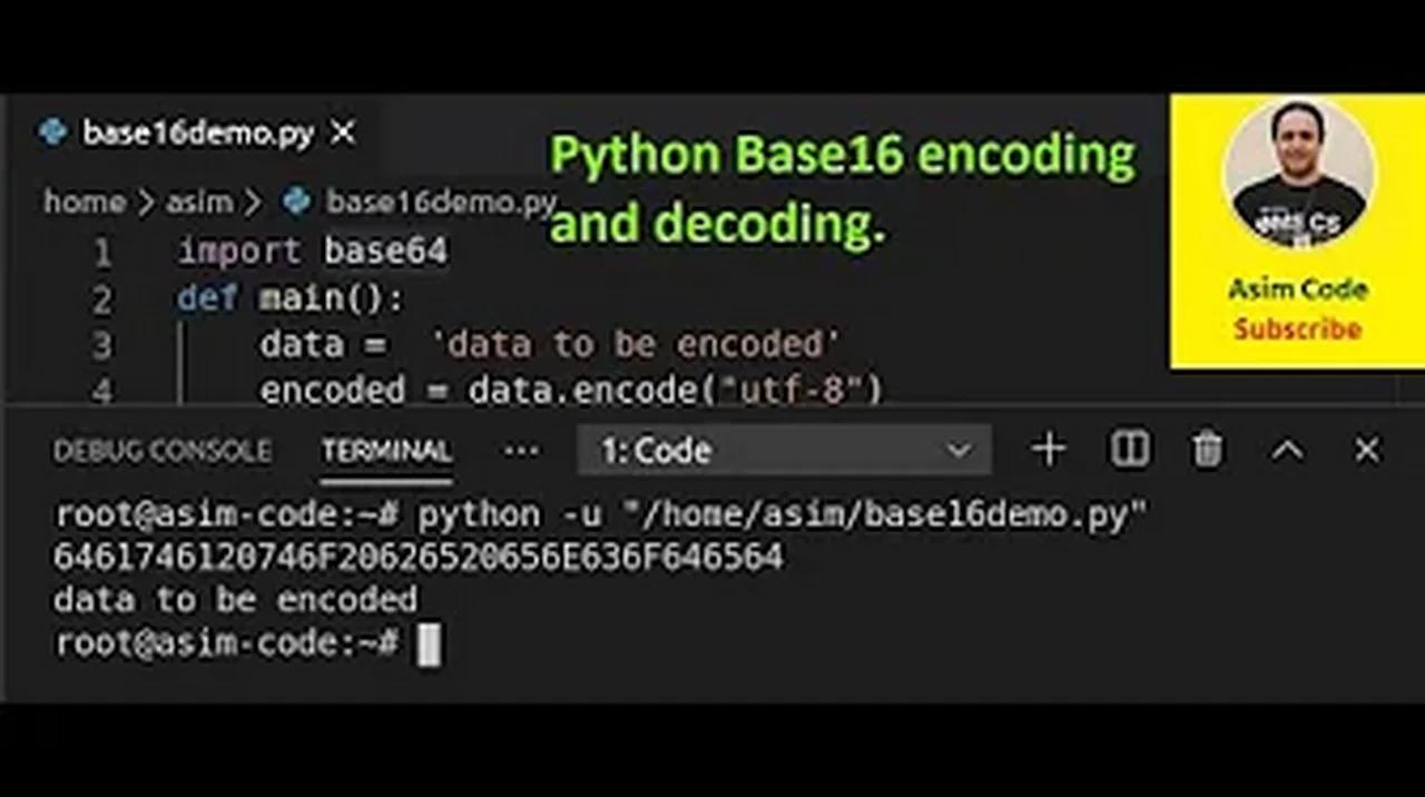 convert base 16 to base 2 python