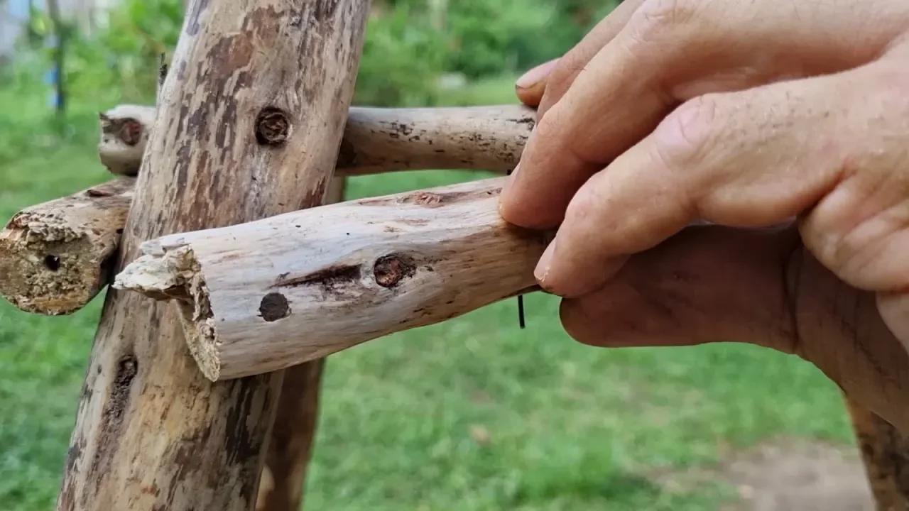 Como Atrair Passaros Para O Comedouro