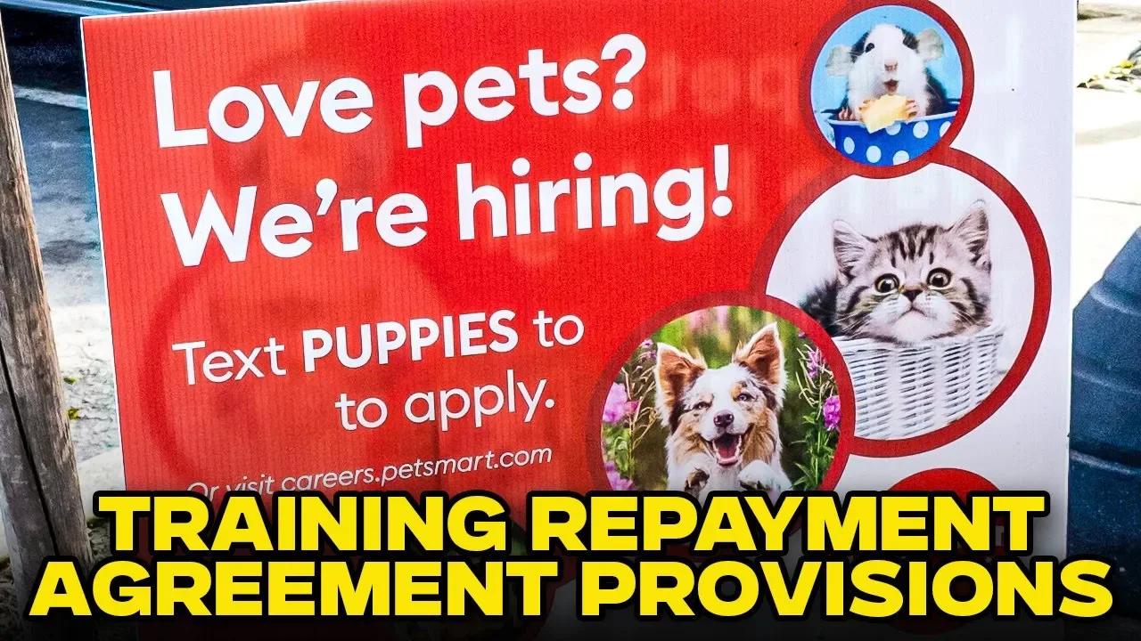 Petsmart Dog Grooming School Lawsuit Colorado
