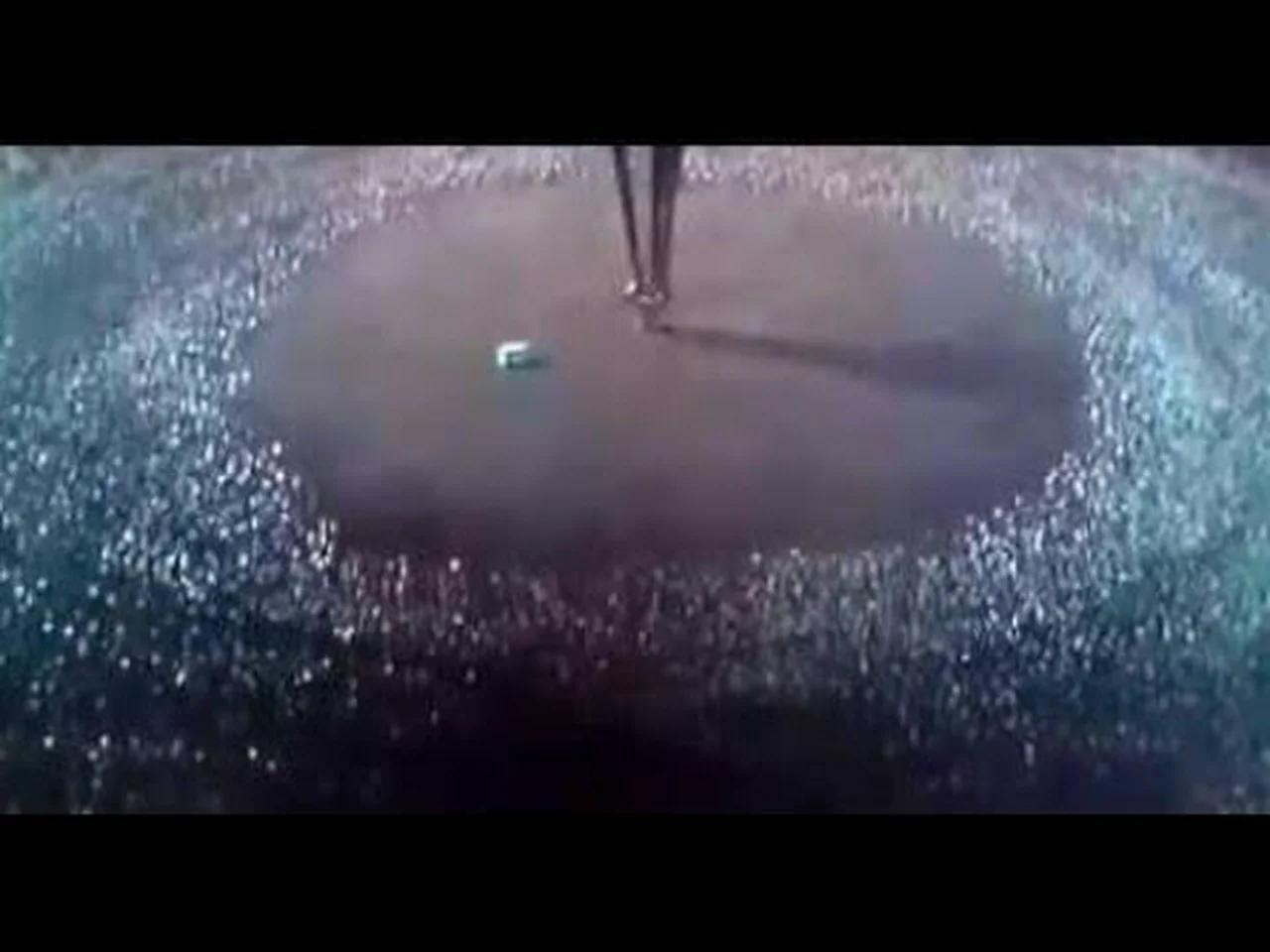 Animals going in circles last scene of the movie cell what s the