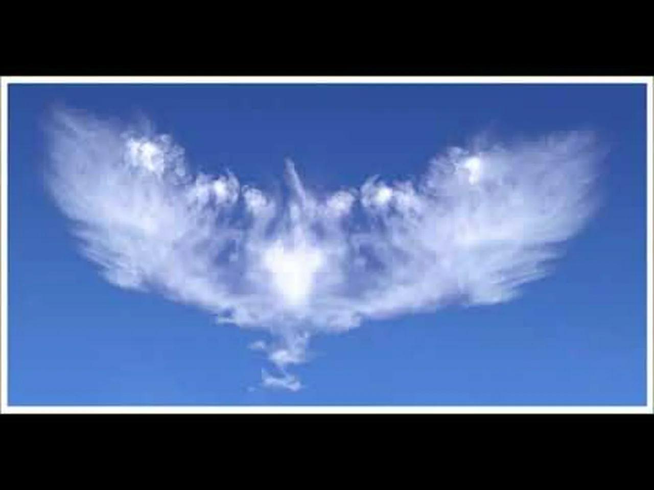 REAL ANGEL IMAGES