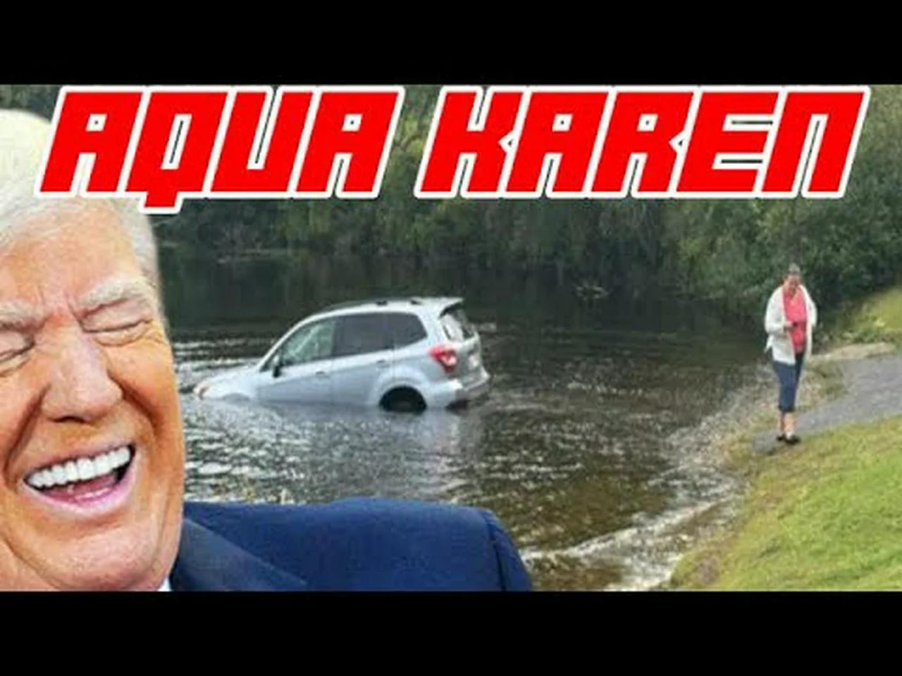 Anti-ICE Protestor Forgets to Put Car In Park And it Crashes into Lake