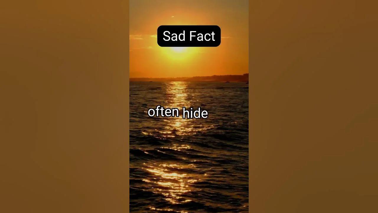 INTERESTING FACTS ABOUT 56 intelligence overview