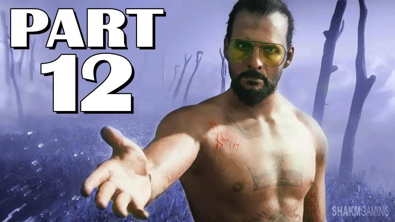 Faith Seed And The Bliss Far Cry 5 Walkthrough Gameplay Part 12
