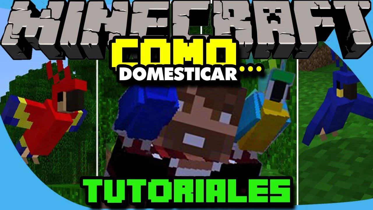 Como domesticar un loro en Minecraft