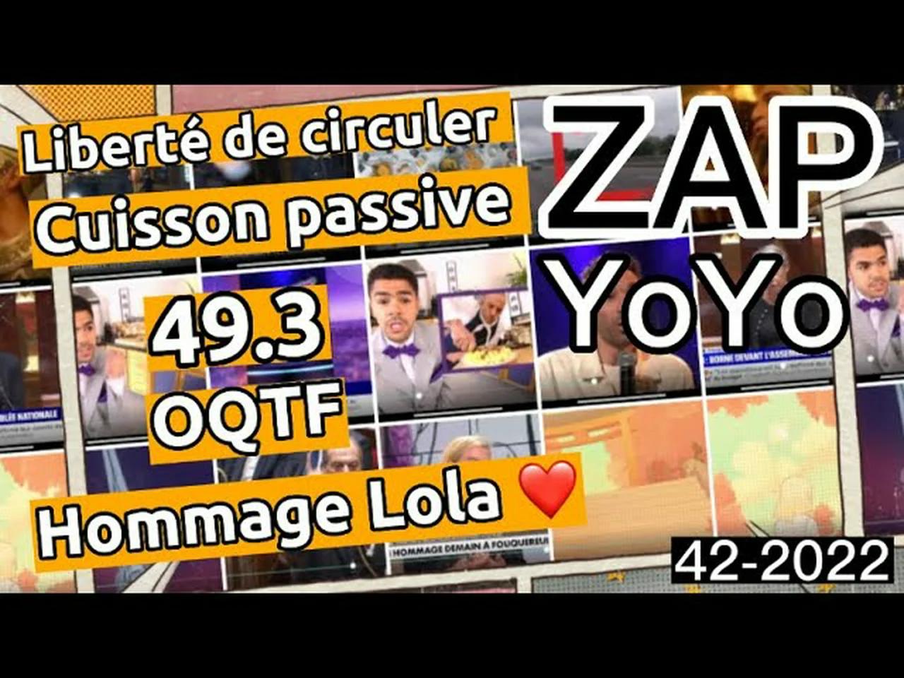 zapping-s42-2022