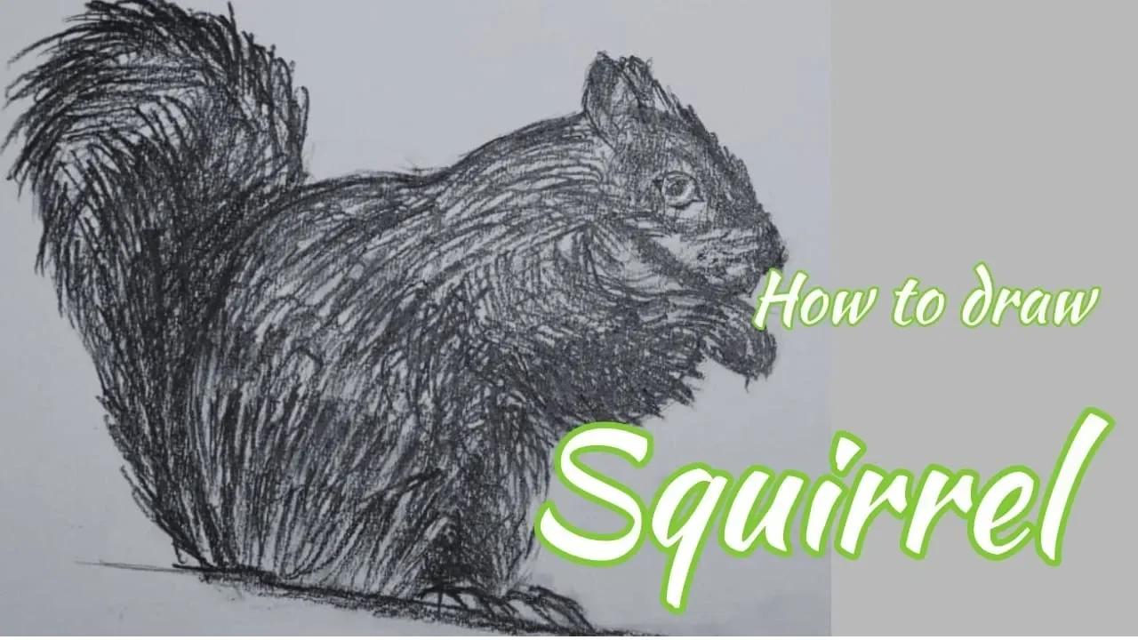 How to draw Squirrel | #128 #drawing #sketch #squirrel