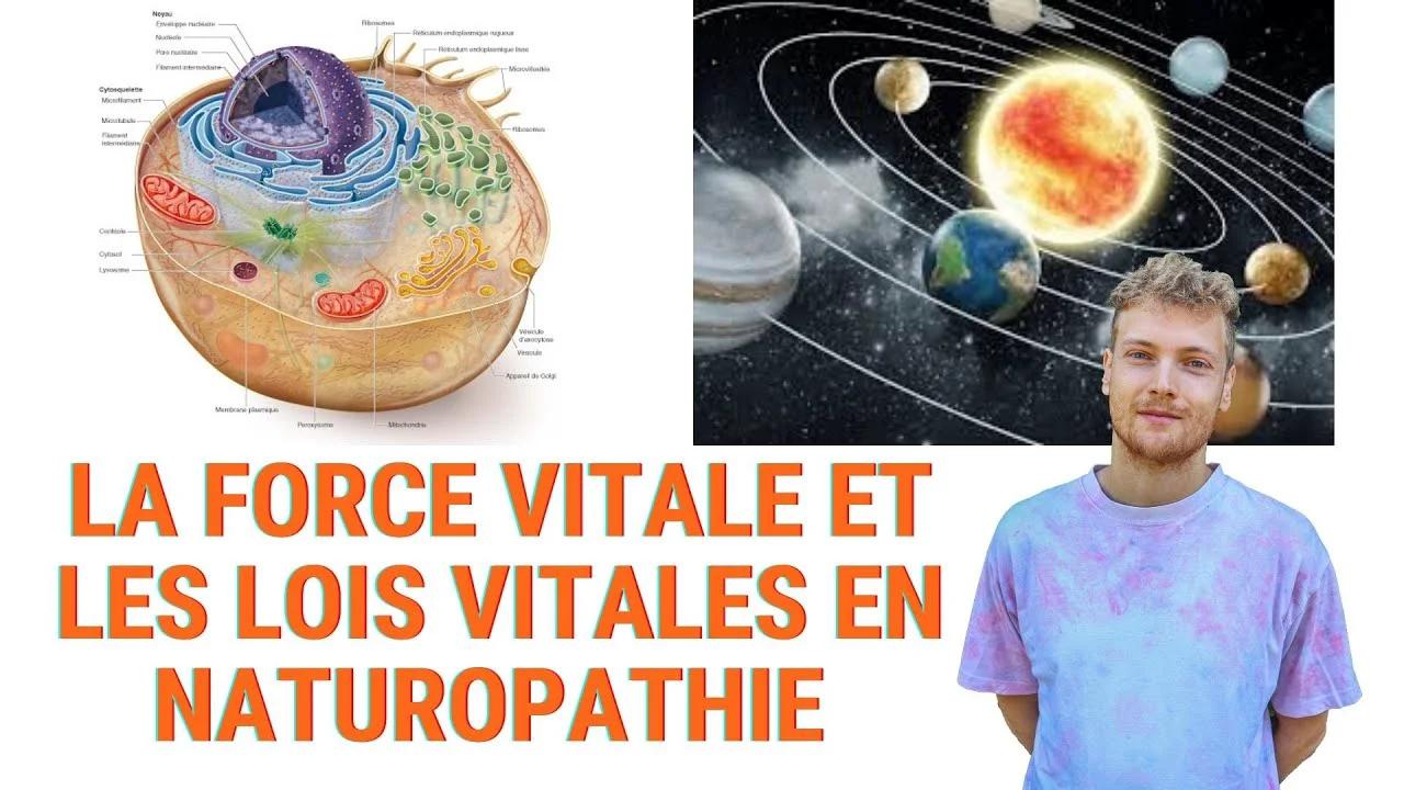 qu-est-ce-que-le-vitalisme-en-naturopathie-loi-et-force-vitale-dans