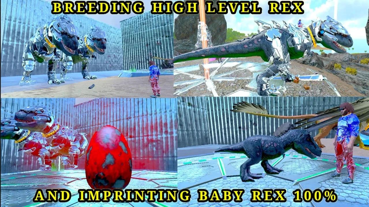 BREEDING REX LEV 359 AND 164 AND GOT LEV 188 REX BABY IMPRINTING 100% ...