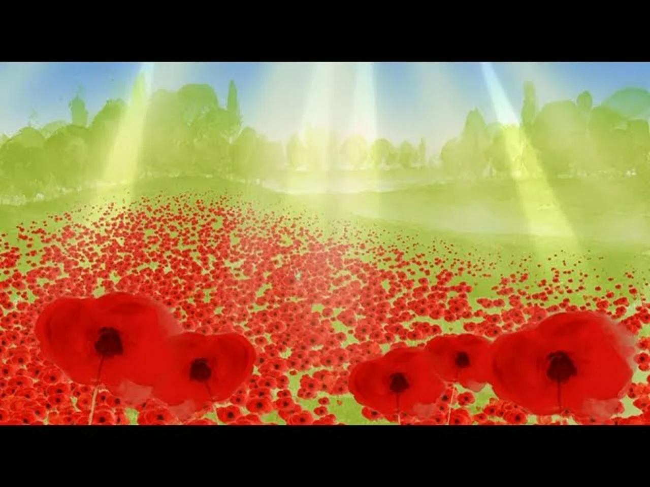 CBeebies/CBBC - Poppies (11.11.2023 Broadcast)