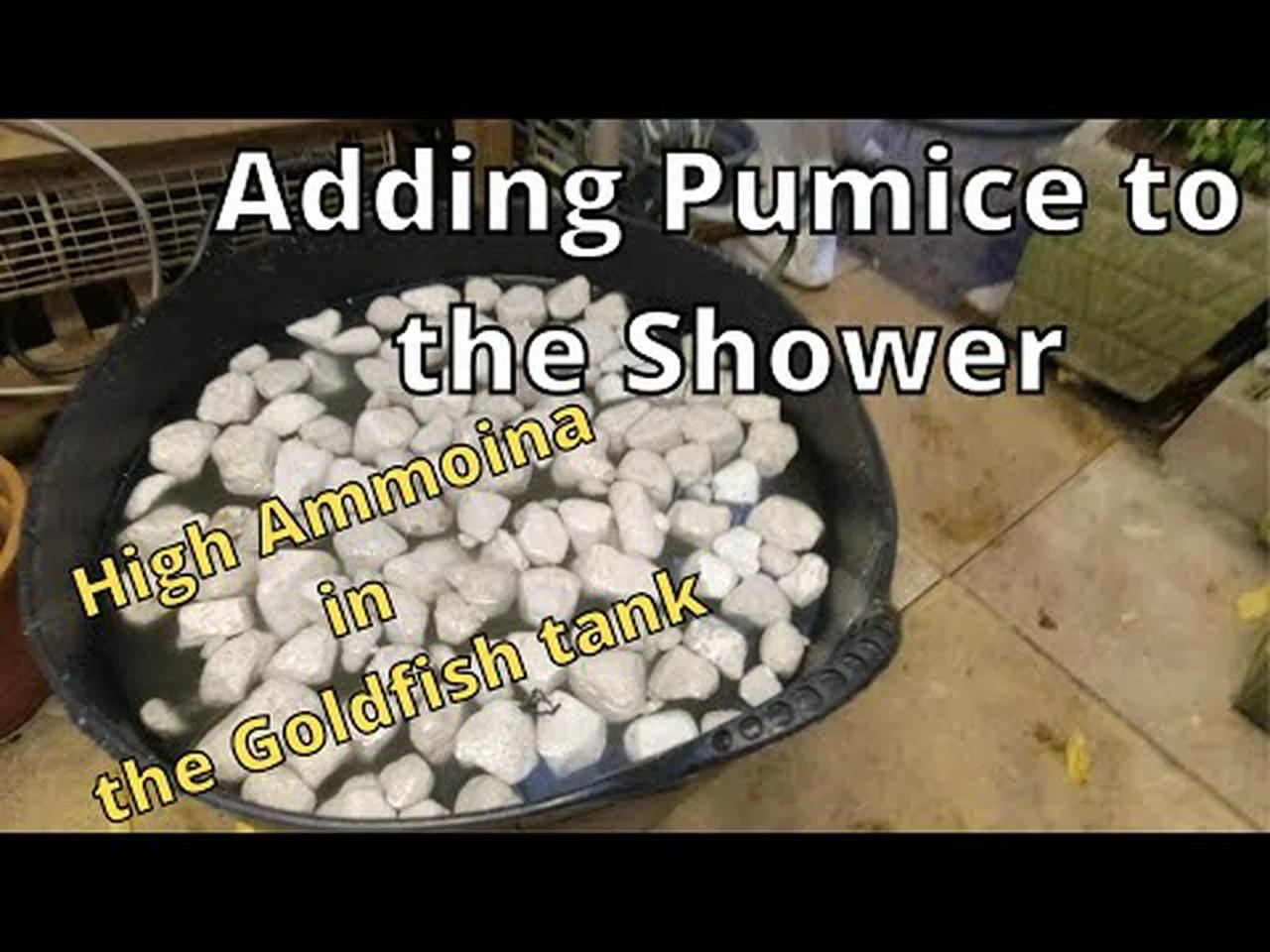 Adding Pumice