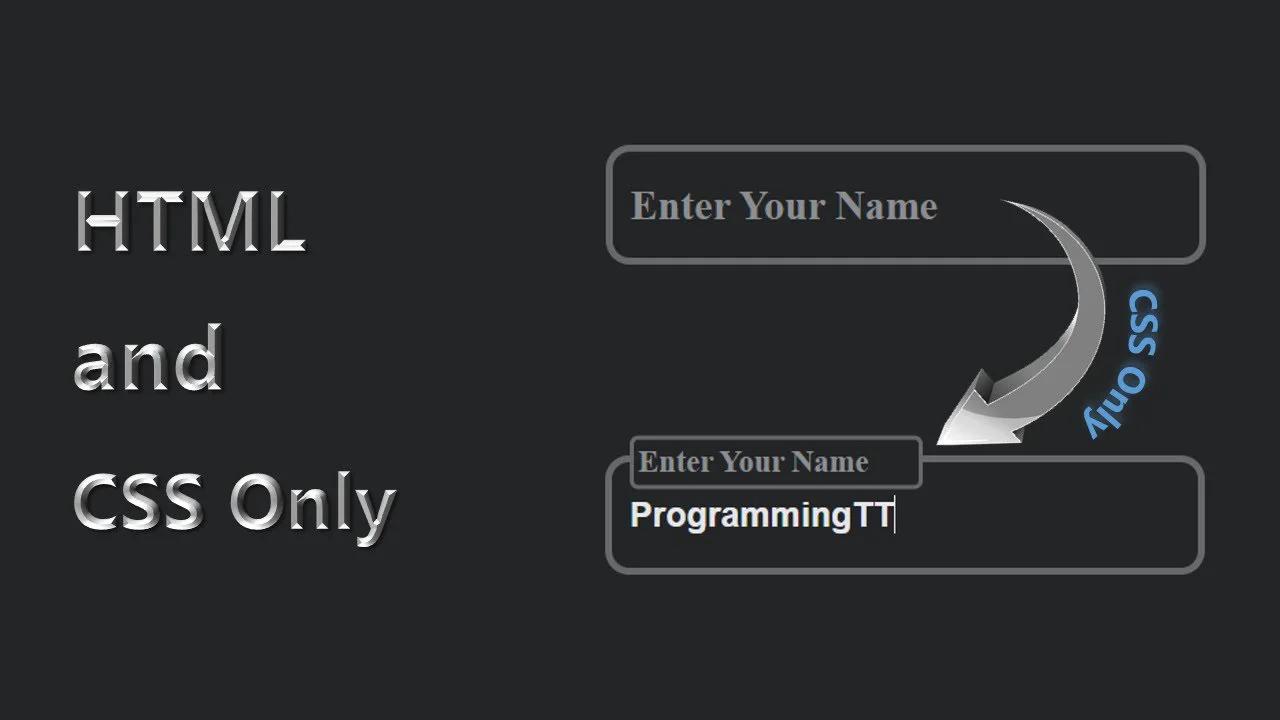 Input Field Animation Using HTML and CSS | HTML & CSS Only