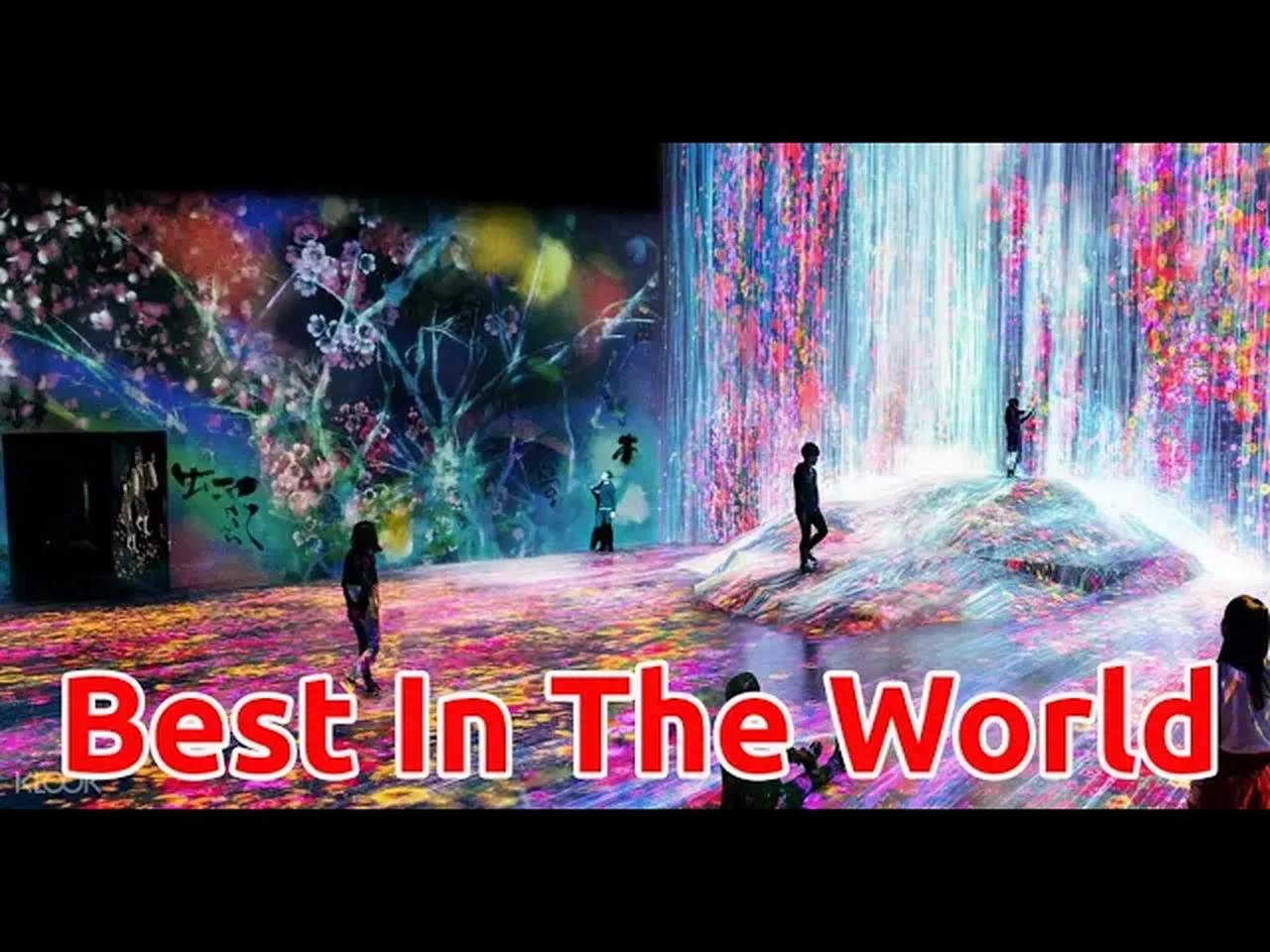 Japan's TeamLab Digital Art Museum Is The Most Visited In The World