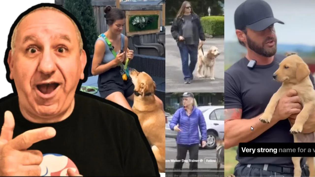 Saro Dog Training Reacts to Viral Dog Videos - SHOCKING! #reactionvideo