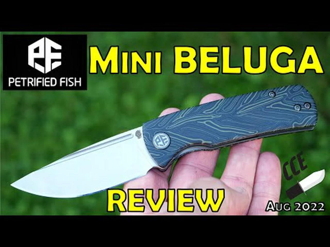 FULL Review of the Petrified Fish MINI BELUGA