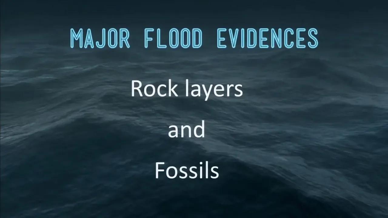 Is There Evidence Of A Global Flood With Dr Georgia Purdom