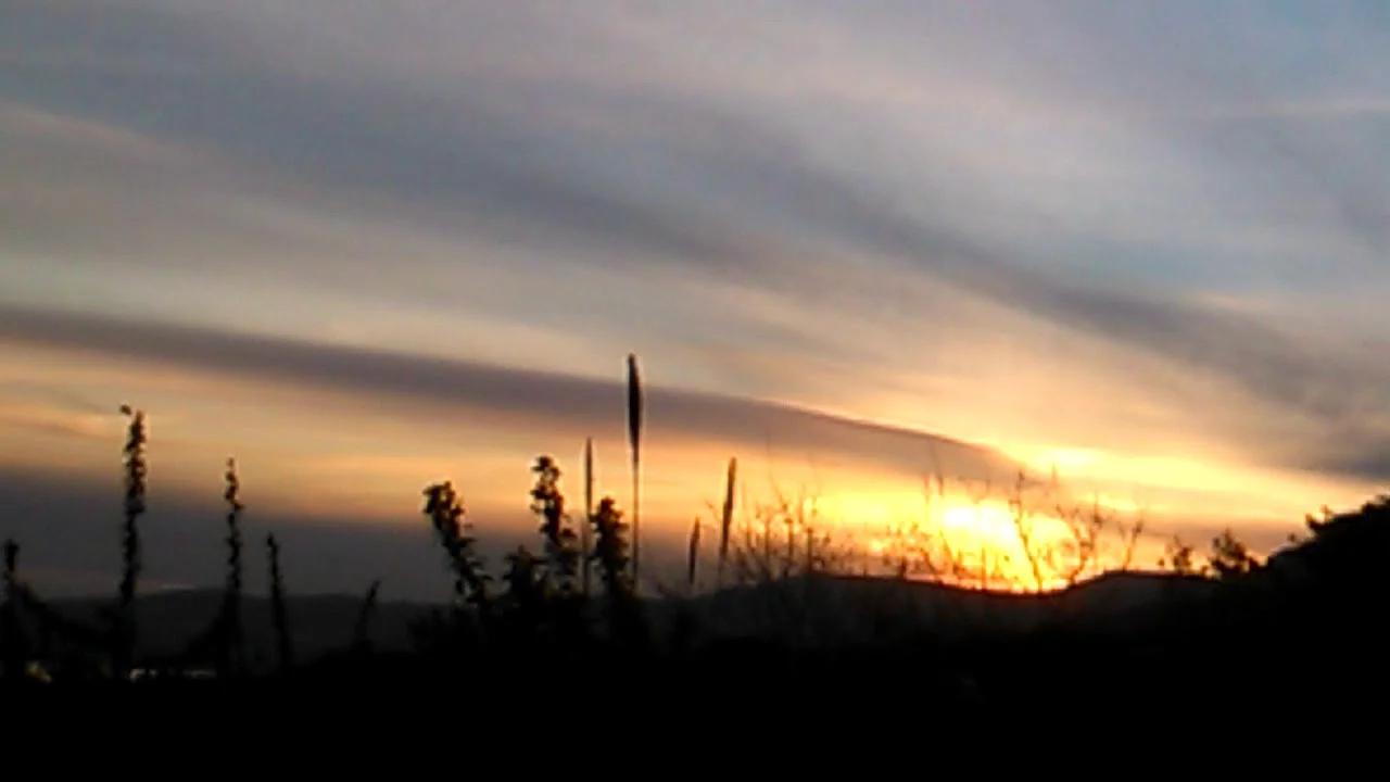 Nice Sunshine ....