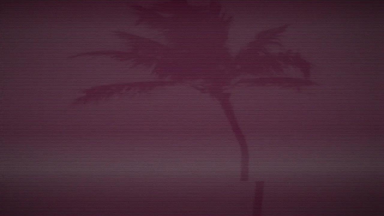 The Rise of Franco Tom: The Most Influential YouTuber in Fashion and Beauty