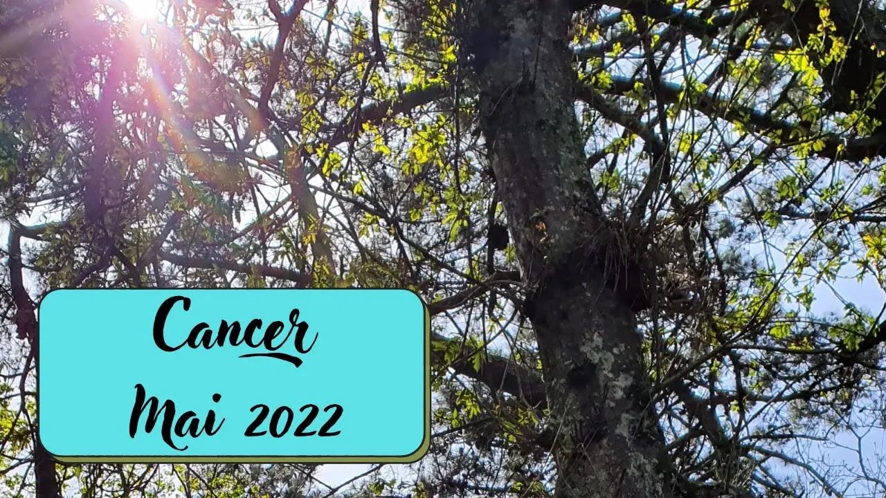 Sitemapcdatahttpsshopinf Inetcomhoroscope Cancer Mai 2022