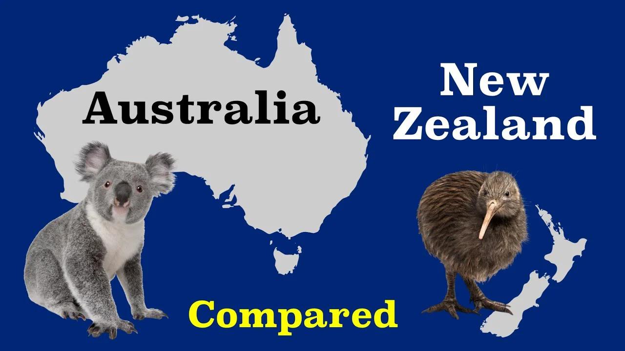 Why is New Zealand's savings rate negative?