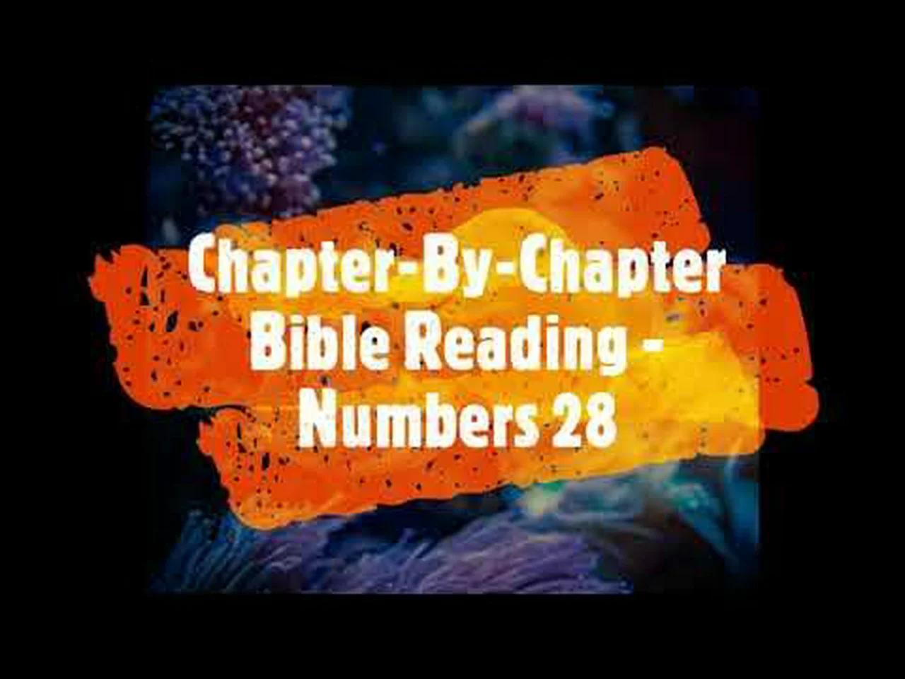Chapter-By-Chapter Bible Reading - Numbers 28