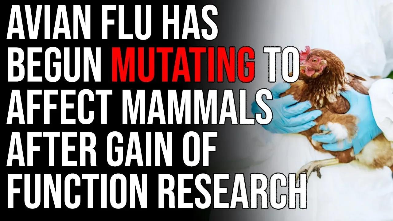 Avian Flu Has Begun MUTATING To Affect Mammals After Gain Of Function