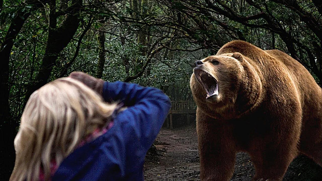 Хороший медведь видео. Медведь Гризли нападение.