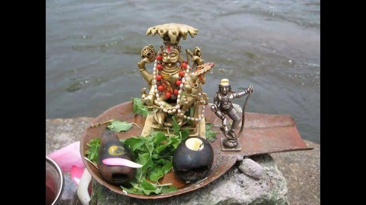 Lakshmi visual data 2