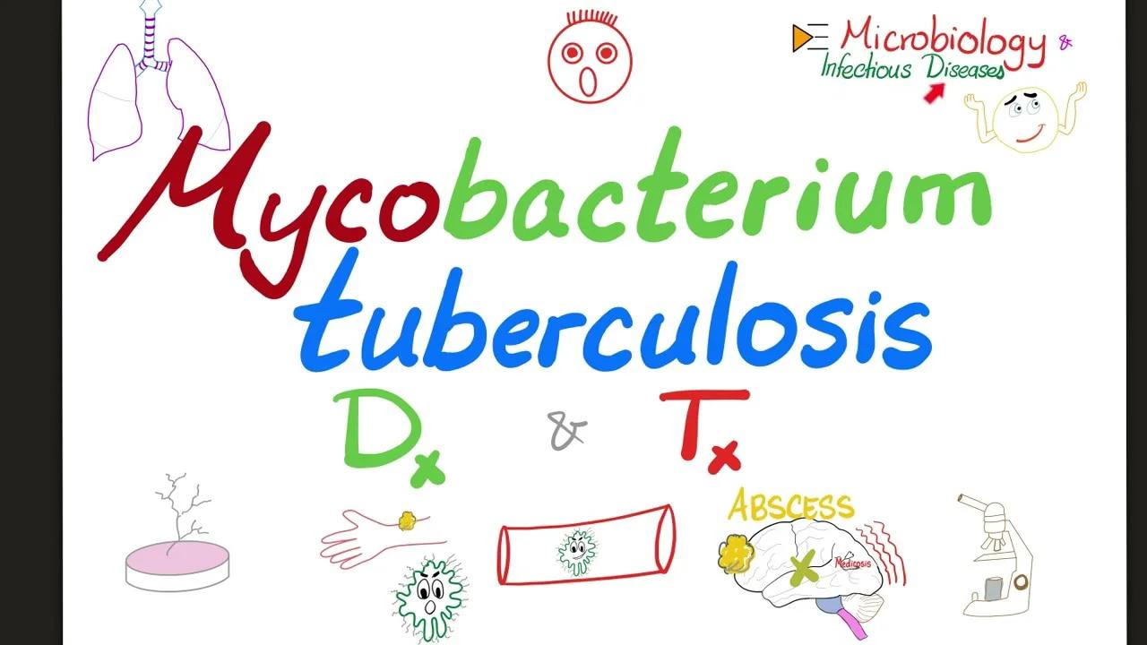 INTERESTING FACTS ABOUT MYCOBACTERIUM TUBERCULOSIS intelligence overview
