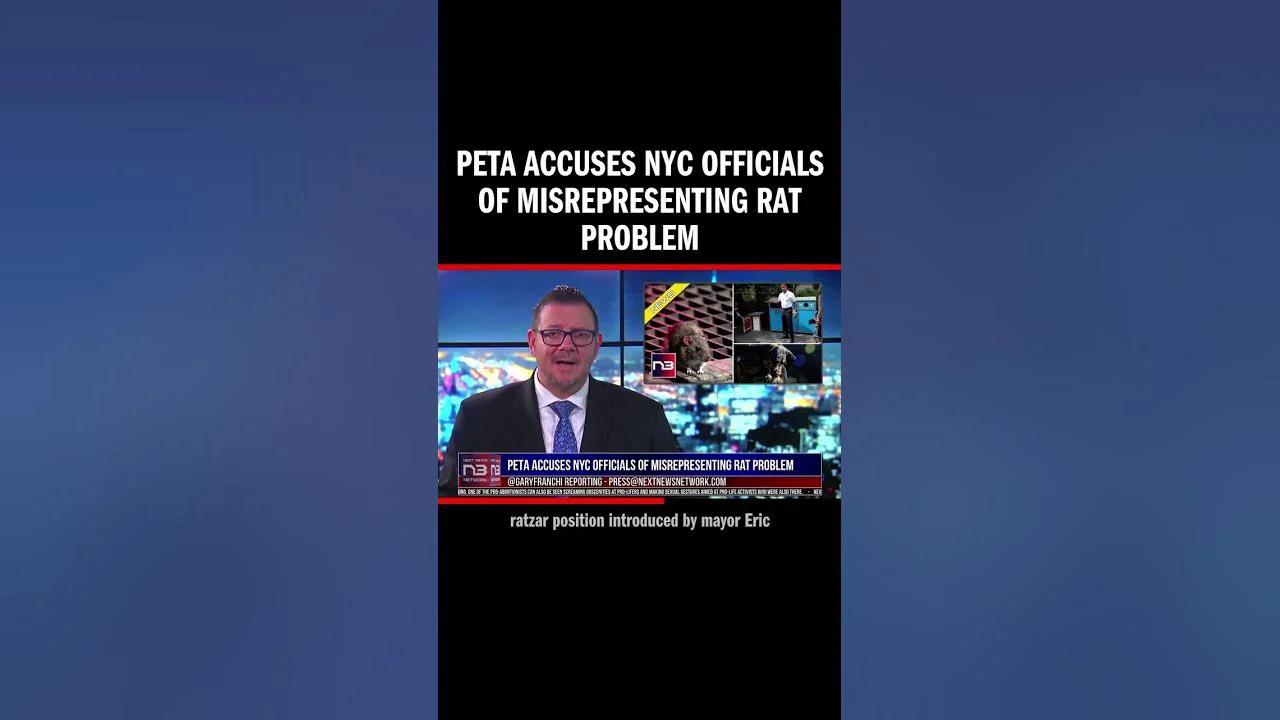 PETA Accuses NYC Officials of Misrepresenting Rat Problem