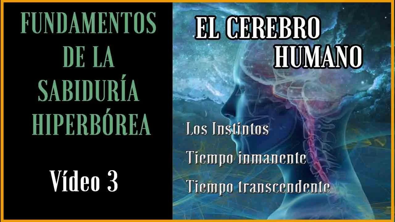FUNDAMENTOS DE LA SABIDURIA HIPERBOREA.Estructura del cerebro.Los ...