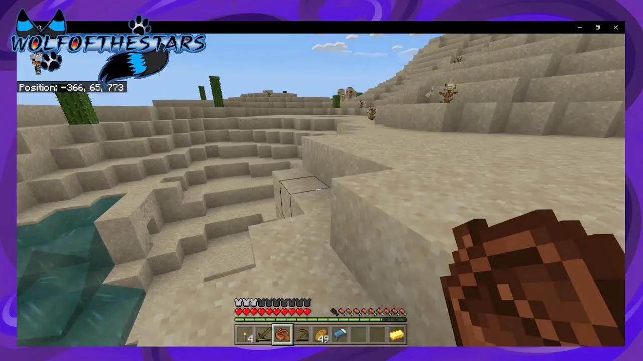 Playing Minecraft