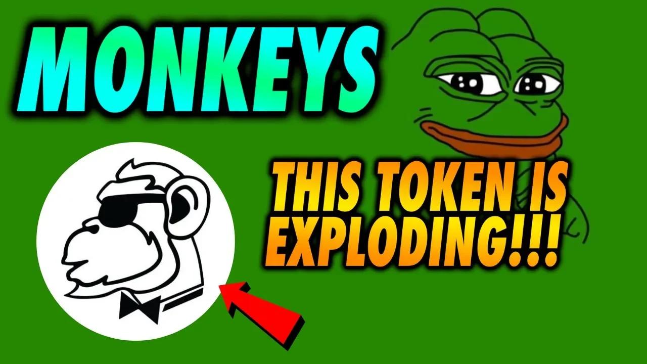MONKEYS Token Has Exploded Over 10X! Monkeys Token Update!