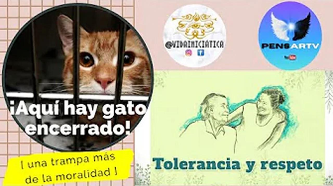 рџ ґ Tolerancia Y Respeto