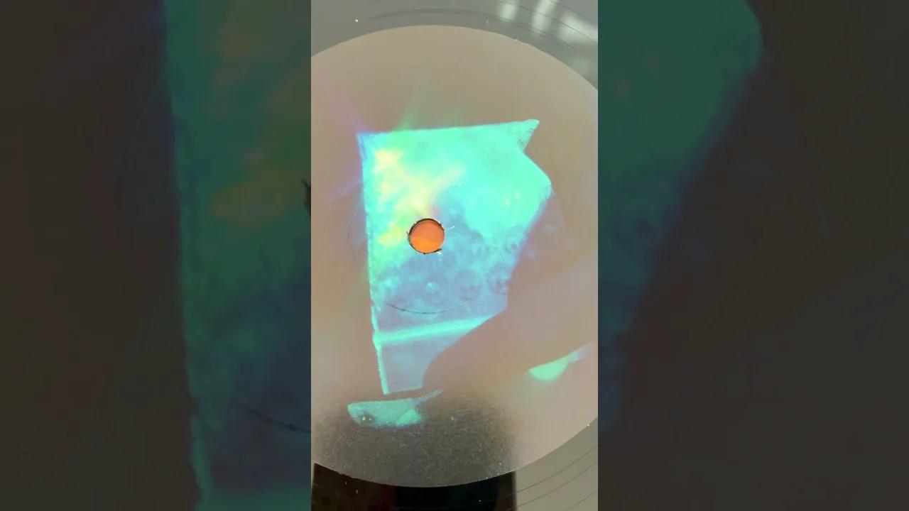 PONYBOI LIMITED EDITION VINYL