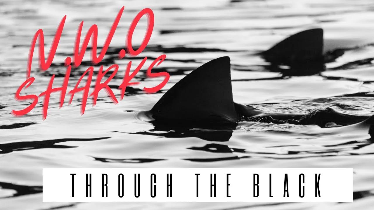N.W.O Sharks
